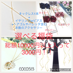 選べる福袋（10000円分入り）