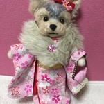 お正月です。ヨーキーちゃん