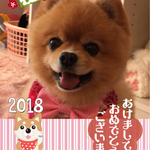 tetumama様オーダー専用です！パラコードリード＆バンダナ柄cocoちゃんリボンチョーカーセット