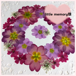 little  memory様 専用
