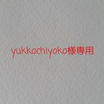 《yukkochiyoko様専用》還暦レッドエレキ5本
