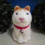 おでぶにゃーんな猫さん♪