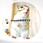 freya28様専用　☆再販リクエスト☆