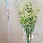 春ベロニカシンプルアレンジ
