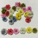 かすみ草 ドライフラワー お試し