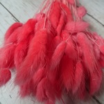 ラグラス キルシュピンク 15g