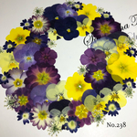 ♡new♡ 送料無料！¥1330 ♡たっぷり押し花セット♡
