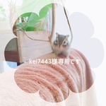 kei7443様専用　☆再販リクエスト☆