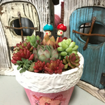 ケーキデコパージュ鉢に多肉寄せ植え