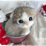 バケツにゃんこ☆彡新春バージョン☆スコティッシュフォールド・パステル三毛