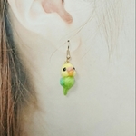 再再販 インコピアス 羊毛フェルト