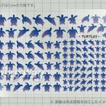  「アオウミガメ・カラー #2」レジン封入用透明シート