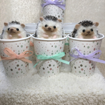 羊毛フェルト コップのハリネズミさん オレンジ 写真左