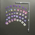 押し花  特別オーダー品 NO.862
