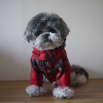 フリースコート　Ｓサイズ【完成品】　