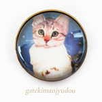 ニット猫のピンズ(ピンバッジ)