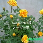 aruanko1973様オーダー品