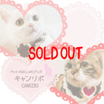 2018年お得な福袋‼【Ｍサイズ】猫、犬グッズ