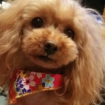 kさま専用欄