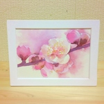 sale!!  透明水彩『梅の花』　額縁付き