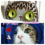 猫目ピアス（caleaidsoop✳︎katze様オーダー作品）
