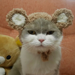 [riripopo*様専用] 🐻 灰色くま