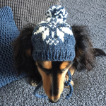 17AW#75 犬用ニット帽