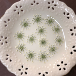 レースフラワー(押し花)