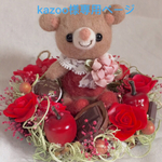 kazoo様専用ページ
