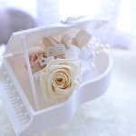 清楚なピアノアレンジ（専用ケース付き）
