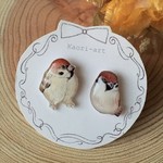 スズメピアス　すずめ