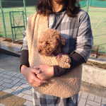 ご好評再販追加3枚❣️猫ちゃんワンちゃん 暖かモコモコ可愛い  スリング❣️