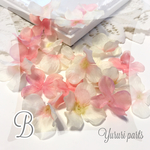 30枚＊花びら B