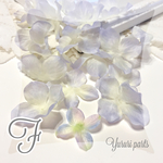 30枚＊花びら F