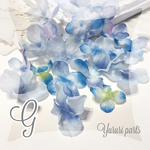 20枚＊花びら G
