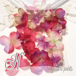 30枚＊花びら H