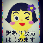 ［訳あり］福笑♪顔作りセット