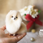 ティーカップポメラニアンの赤ちゃん ハンドメイドマーケット Minne