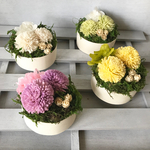 ♡コロンと可愛らしいピンポンマムのナチュラルアレンジ プリザーブドフラワー　フラワーギフト　結婚祝い　お誕生日　新築祝い 　結婚祝い     仏花　お供え　開店祝い　退職祝い　