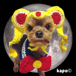 おだんごツインテール帽子《犬猫ペット用》