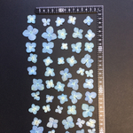 押し花  特別オーダー品 NO.865