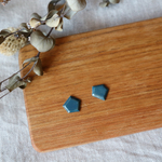 陶土 ほうせきのピアス／イヤリング 〈五角形 ブルーグレー〉