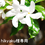 hikyaku様専用