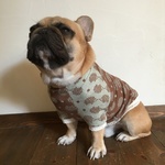 犬服【オーダー製作】ハリネズミ柄ラグランTシャツ