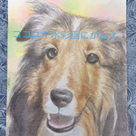 色紙にがおえワンちゃん（リアルな水彩画うちの子似顔絵オーダー・ペット用、 犬用）父の日母の日お誕生日プレゼントにも／売上の一部は犬猫のための寄付に