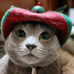 猫用帽子 カモフラ柄 裏地レッド 