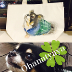 世界でひとつのうちのワンコお散歩バック✳︎ペット✳︎オーダーメイド✳︎