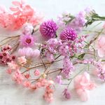 ピンクの花材　（ハーバリウム・ボタニカルキャンドル用素材）