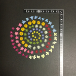 押し花  特別オーダー品 NO.869