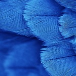 yukohanakun様専用☆